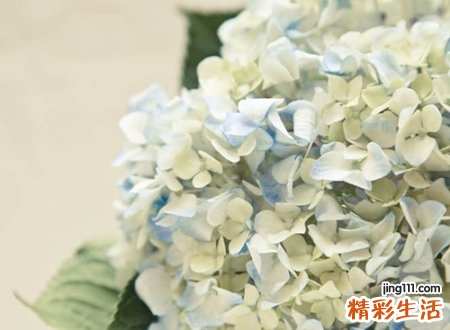 抖音最酷的经典名字,洒脱有个性的抖音网名