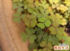 清冷孤傲的古风名字，岁月荒寒的唯美微信昵称