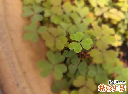 清冷孤傲的古风名字，岁月荒寒的唯美微信昵称