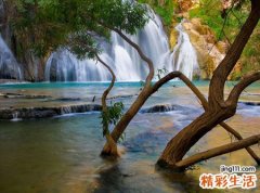 梦见和别人一块抬死人游街示众