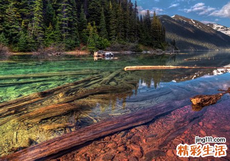 梦见不认识的人吊死了真是悲剧啊