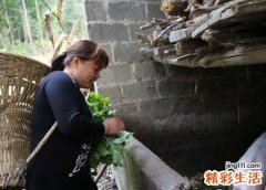 孕妇梦见杀猪杀红了眼有点恐怖