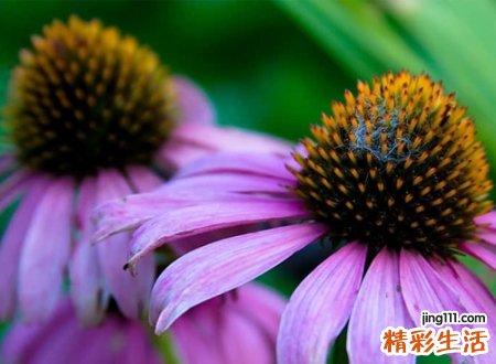 王者荣耀情侣名字一对，动听的小情侣qq名字