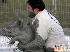 梦见亲戚杀猪给我分了一大块猪肉