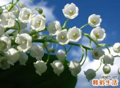 简短有意义的英文id，时尚个性的英文网名