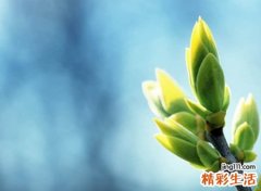 很成熟很现实的微信名字，经典有个性的哲理网名