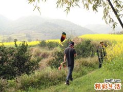 孕妇梦见坟地又大又高很壮观