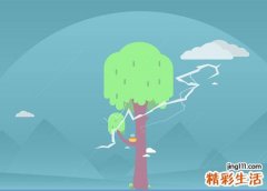 梦见惊天的闪电和炸雷响彻在天际