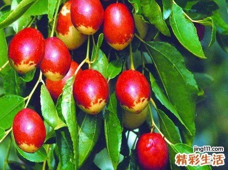 孕妇梦见吃枣竟然生出来一个枣娃娃