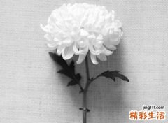 梦见父亲去世是什么意思，女性梦到父亲去世好吗