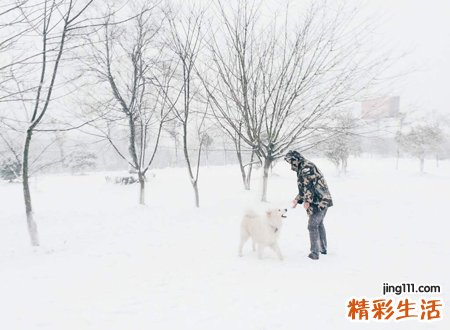 梦到下雪，做梦梦到下雪了是什么意思