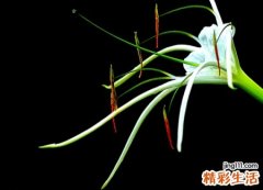 元气满满活力十足抖音网名，2021抖音有内涵的涨粉名字