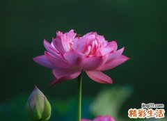 唯美有意境的微信名字，最新吸引人的微信经典网名