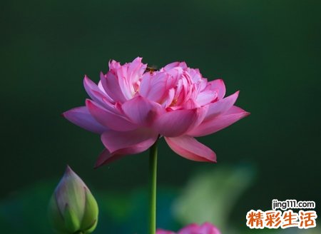 唯美有意境的微信名字，最新吸引人的微信经典网名