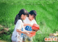 梦见捉鱼是什么意思，做梦梦见和别人一起捉鱼