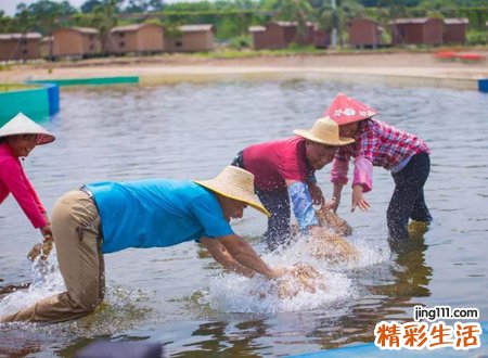 梦见抓了好多鱼是什么意思，男人梦见抓到好多鱼
