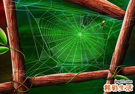 梦见自己费劲用力扯掉蜘蛛网