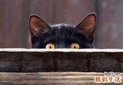 梦见从战场上拉回来多具死尸放在太平间里