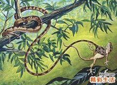 已婚女人梦见被蛇咬手，女人梦到自己被蛇咬了