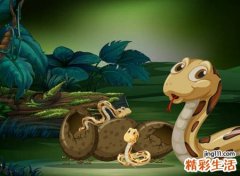 做梦梦见遍地都是蛇，女人做梦梦到好多蛇