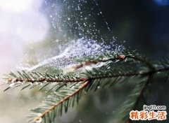 豪爽霸气的王者荣耀名字，潇洒自在的超拽游戏网名