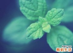 忧伤郁闷的颓废昵称，特别丧的微信网名