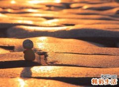 梦见死去的亲人诈尸追着我跑