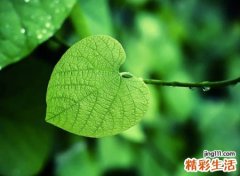 好听优美的唯美网名，古风有意境的时尚名字