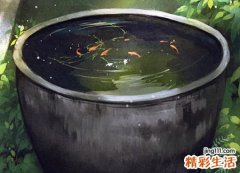 梦见水缸里的水不干净生蛆了