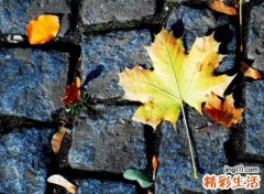 2019最火的网名，最吸引粉丝的经典老网名