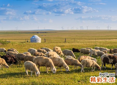 梦见很多羊，做梦梦到羊是什么意思