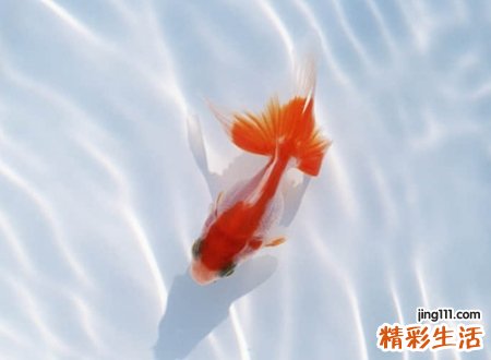 王者荣耀游戏名字,吊炸天超拉风的王者游戏名称