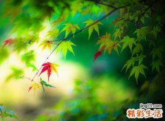 孕妇梦见死人复活了追着自己讨债