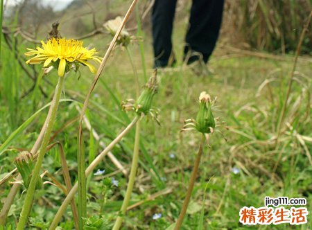 孕妇梦见坟地上到处都是纸钱和小纸人