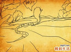 梦见打蛇，女人梦见打蛇是什么预兆