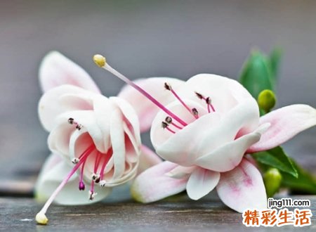 内心平淡安静的网名，简单而走心的抖音昵称