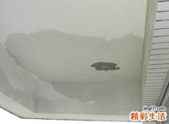 梦见下大雨房子到处漏雨，女人梦到下雨房子漏雨