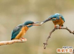 霸气搞笑的幽默群名，好听的微信群名称大全