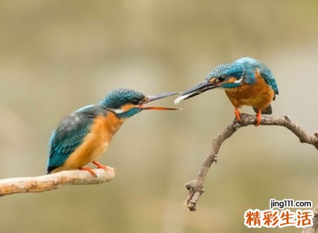 霸气搞笑的幽默群名，好听的微信群名称大全