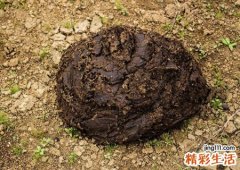 梦见公园里有堆积如山的牛粪