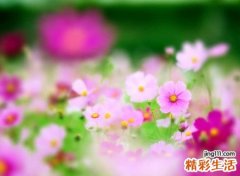 6个字的网名有诗意古风，非主流六字微信昵称
