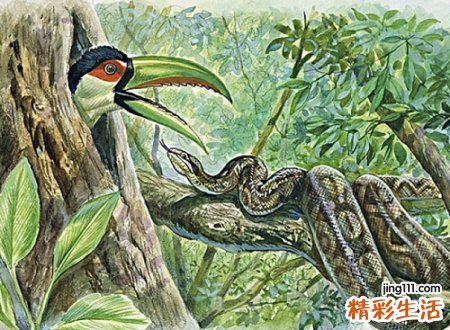 梦见自己害怕蛇躲避，男人梦见蛇是什么预兆