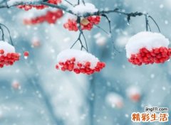 梦见下雪，做梦梦见雪花飘落是什么征兆