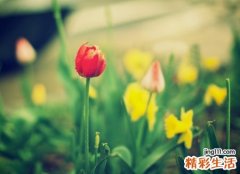 好听的qq群聊名称大全，超前卫的qq群网名