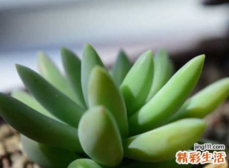 好听的微信群名称霸气版，最新帝王范的霸气网名