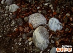 qq飞车网名超拽霸气，非主流犯傻的游戏名字