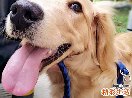 梦见舌头掉了一半还能自如说话聊天