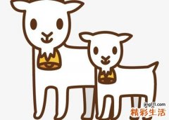 梦见在马路中间有一只死羊的身体