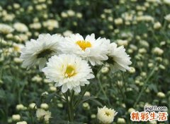梦见父亲去世，做梦梦见父亲去世自己大哭