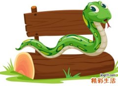 怀孕梦见蛇是什么意思，孕妇梦见蛇代表生什么